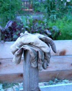 GardenGloves