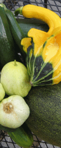 squash