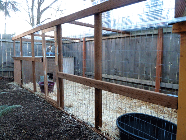 Duck Pens and Coops