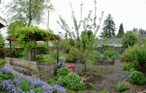 Backyard 2012