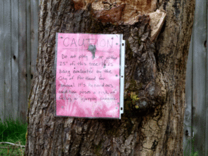snag-sign
