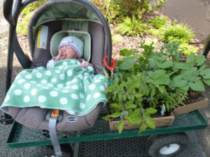 Juniper wins Patient Baby Award