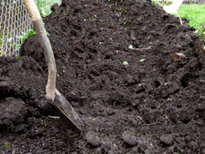 potato-trench