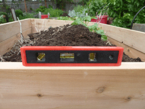 beds-level