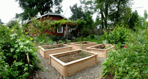 beds-panorama2