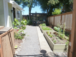 danae-driveway