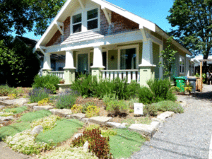 Low maintenance front yard with plants for texture and repetition