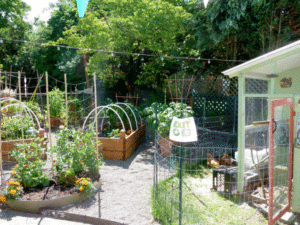 fopo-garden