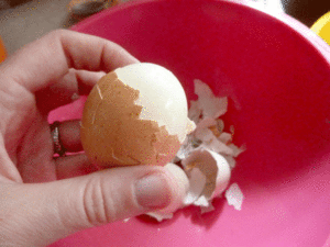 eggs-peeled