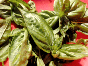 burger-herbs