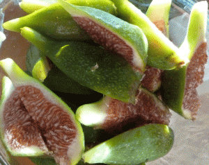 figs
