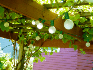pergola-lights