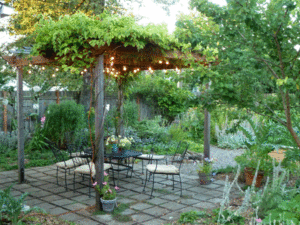 shoot-patio