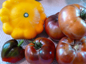 Garden veggies for ratatouille