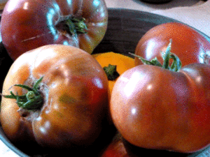 Break out your favorite heirloom veggies for this dish! The flavor from my Brandywine tomatoes really shined in this stew.