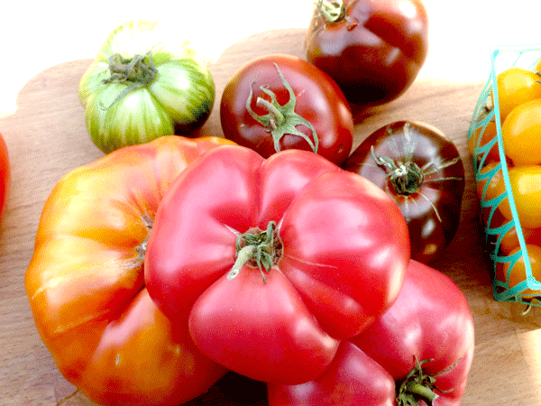 http://www.hipchickdigs.com/wp-content/uploads/2012/09/slicer-tomatoes.gif