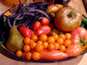 September harvest basket
