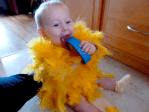 chick-costume-blue-tape