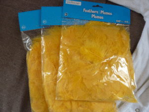 chick-costume-feathers