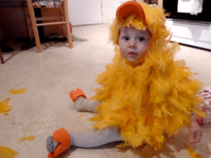 Baby Juniper in our homemade chick costume