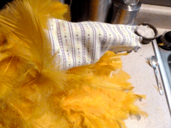 chick sleeves