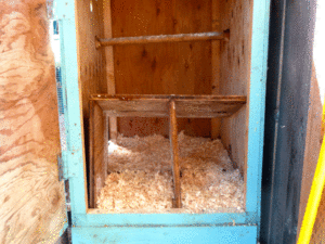 clean-hen-house