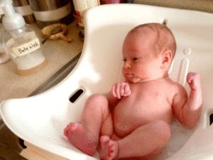 One-month old Juniper having a bath