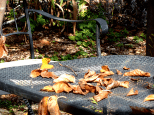 fall-patio