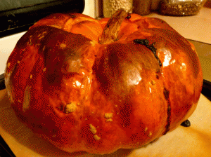thanksgiving-stuffed-pumpkin