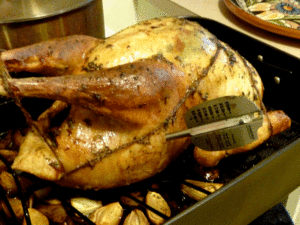 thanksgiving-turkey