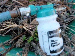 Empty sprayer after about 15 minutes spent applying the copper blight spray