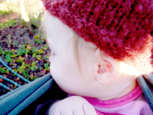 My garden helped, Juniper, along for the ride in the baby wrap