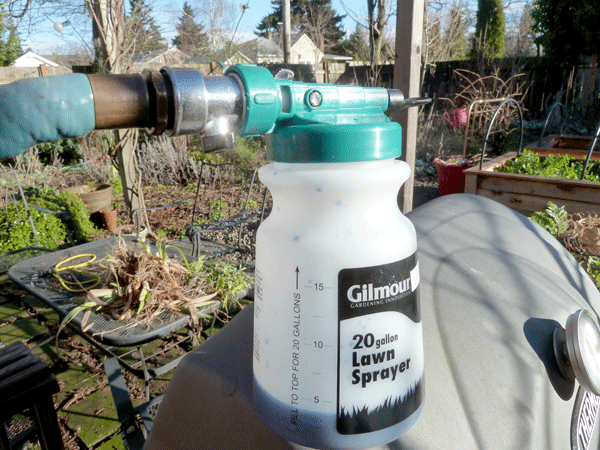 Ready to spray the tree for blight, with hose attached to the applicator