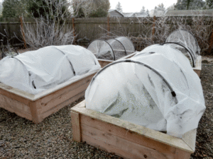 winter-beds