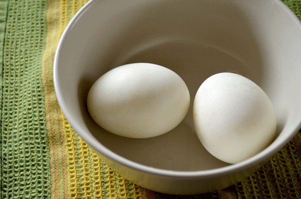 clean-eggs