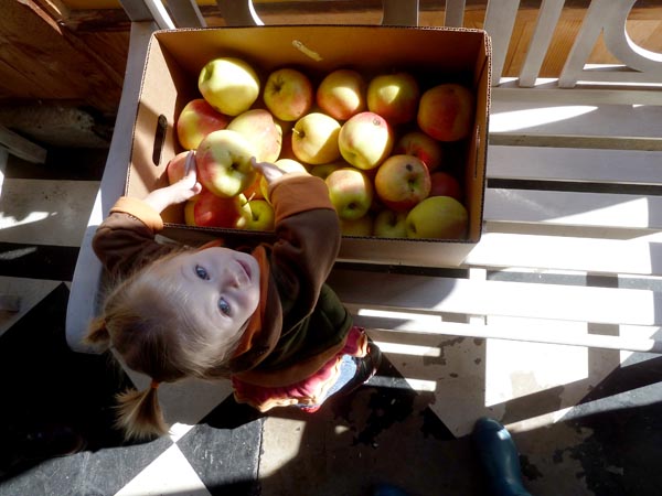 apple-helper