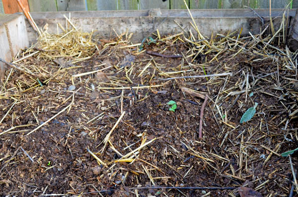 mid-compost
