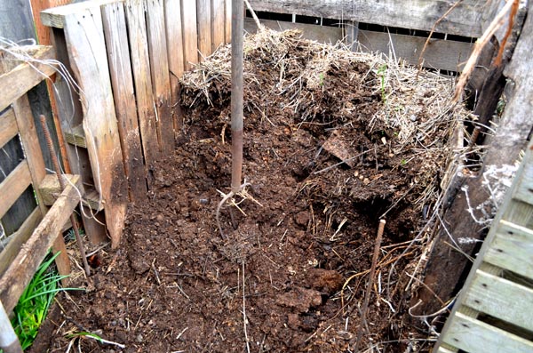 harvesting-compost