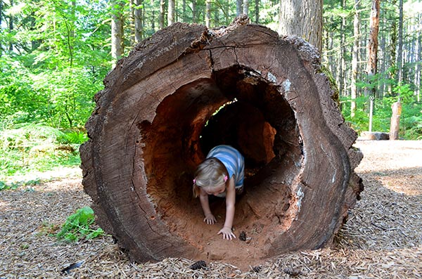 nature-play-hollow-log-adventure