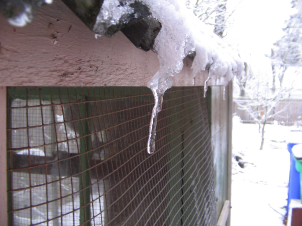 January 0021 1024x768