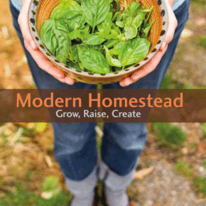 My Book: Modern Homestead