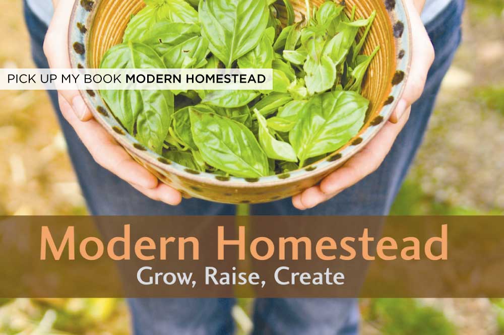 Cover Book Modern Homestead