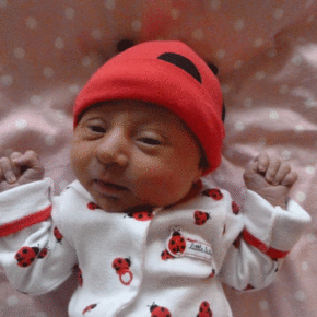 Welcome Baby Juniper