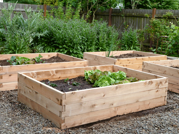 Product Review: Naturalyards Raised Beds | Hip Chick Digs