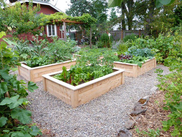 2018 Vegetable Garden Plan Hip Digs, Raised Garden Plans