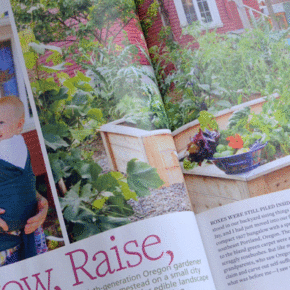 Country Gardens Inside1 290x290