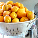 Apricot-Rosemary Preserves