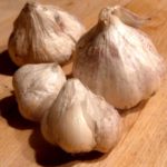 Planting Fall Garlic