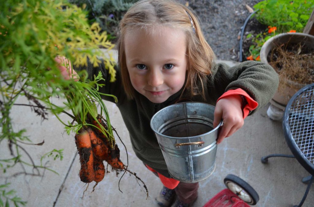 November Juniper Harvest 1024x678