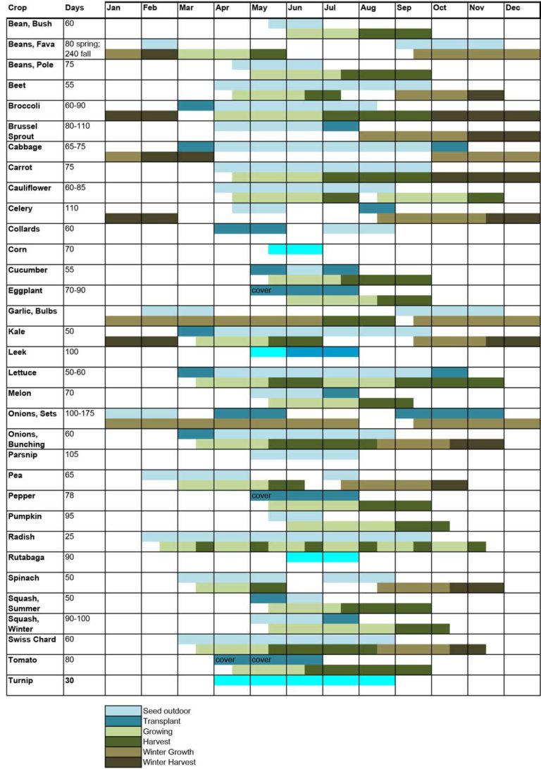 Vegetable Seed Calendar 2025 Callum Kay A 